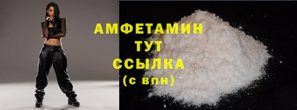 дживик Пересвет