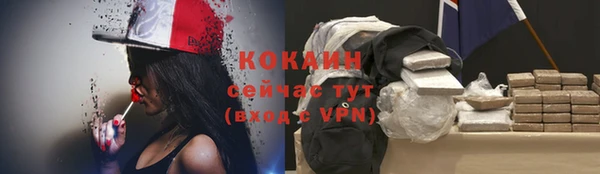 бошки Алексин