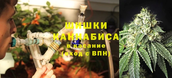 бошки Алексин