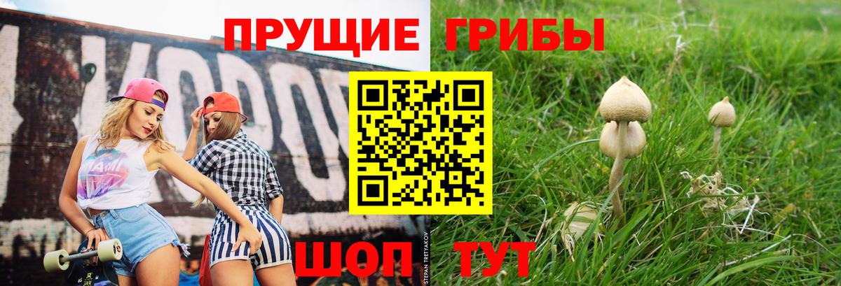 Биробиджан  Галлюциногенные грибы ЛСД  Вход с VPN 