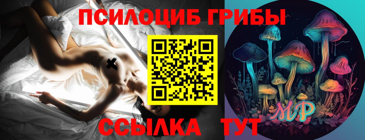 Галлюциногенные грибы мицелий Биробиджан